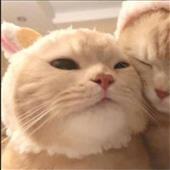 Đá