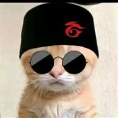 DJ