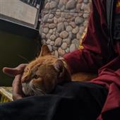 Po