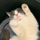 หม