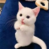 Du