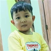 Cỏ