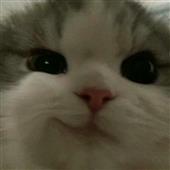 Câ